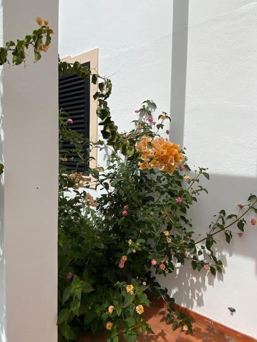 Albufeira Falesia Beach Apartment Extérieur photo